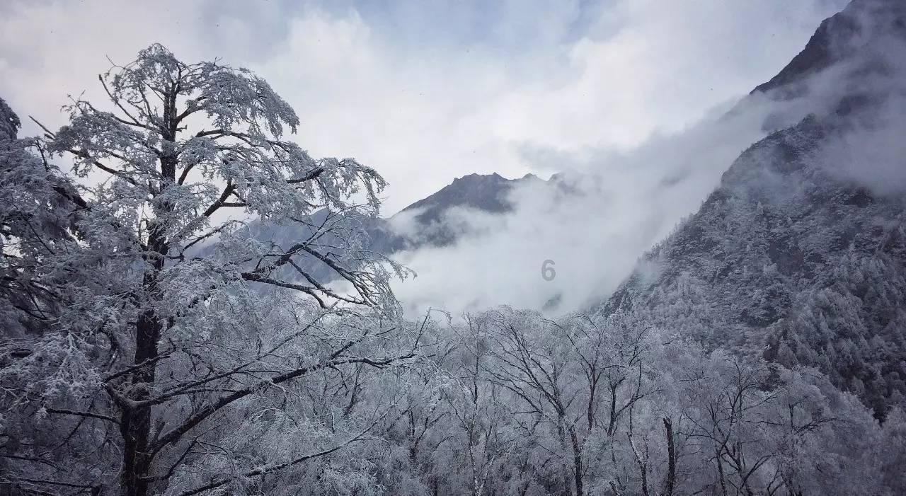 全民剧本大师内置菜单