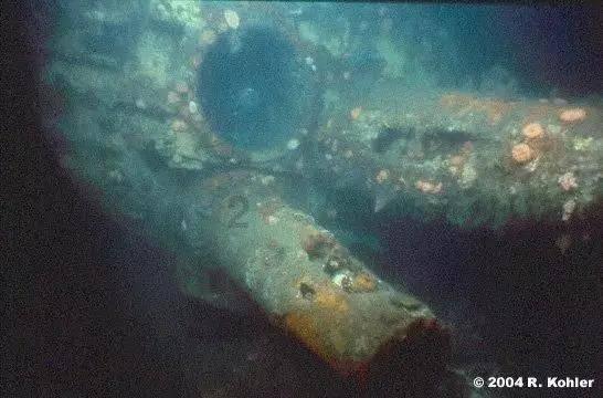如何当个霸道温柔宠溺呵护关爱的哥哥？游戏画面