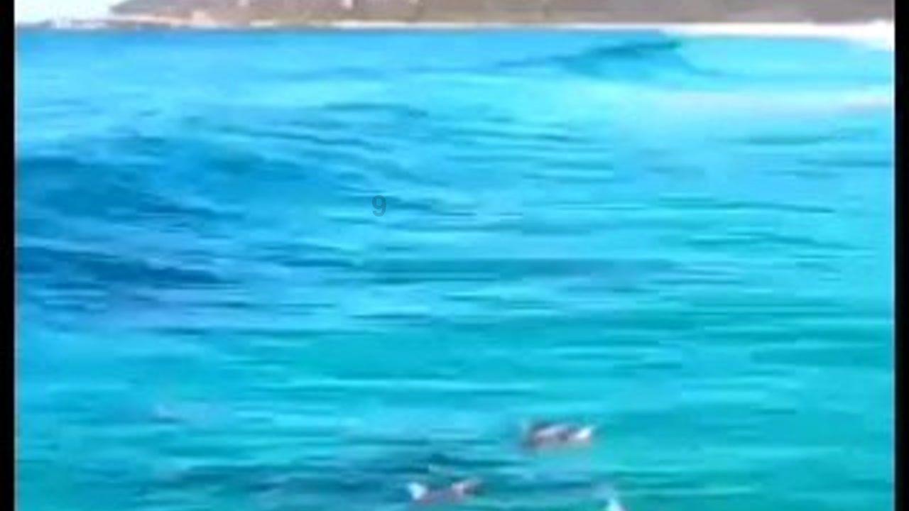 五彩糖果消消看