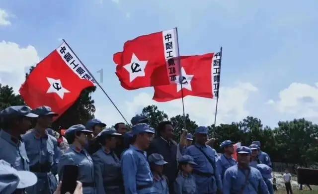 红树林逃生